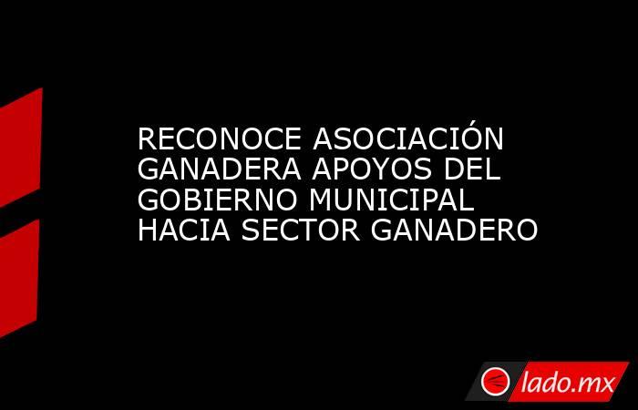 RECONOCE ASOCIACIÓN GANADERA APOYOS DEL GOBIERNO MUNICIPAL HACIA SECTOR GANADERO. Noticias en tiempo real