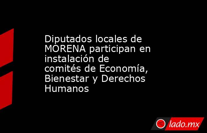 Diputados locales de MORENA participan en instalación de comités de Economía, Bienestar y Derechos Humanos. Noticias en tiempo real