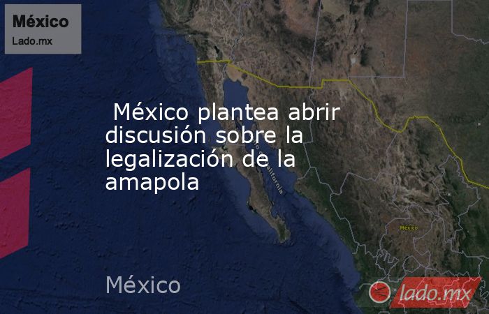  México plantea abrir discusión sobre la legalización de la amapola. Noticias en tiempo real