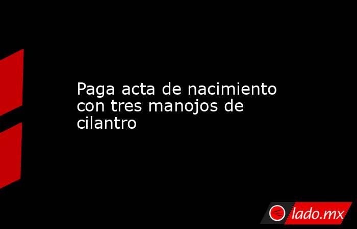 Paga acta de nacimiento con tres manojos de cilantro. Noticias en tiempo real