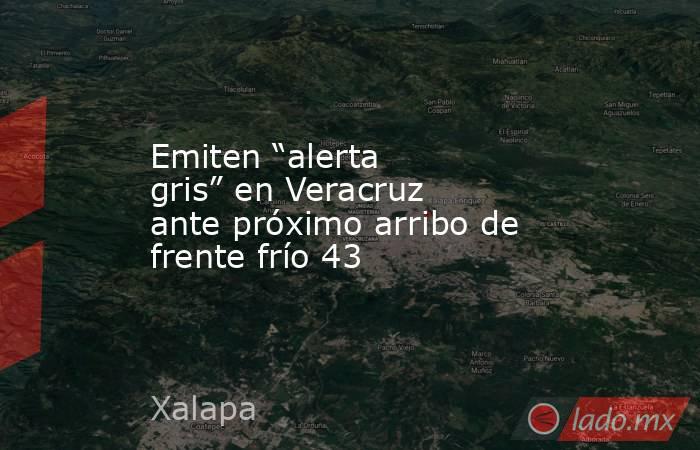 Emiten “alerta gris” en Veracruz ante próximo arribo de frente frío 43. Noticias en tiempo real