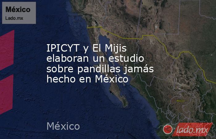IPICYT y El Mijis elaboran un estudio sobre pandillas jamás hecho en México. Noticias en tiempo real