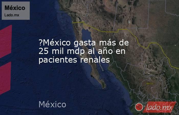 ?México gasta más de 25 mil mdp al año en pacientes renales. Noticias en tiempo real