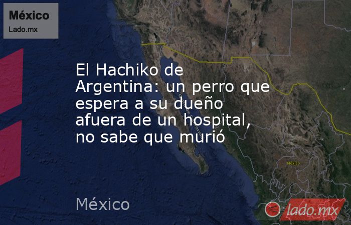 El Hachiko de Argentina: un perro que espera a su dueño afuera de un hospital, no sabe que murió. Noticias en tiempo real