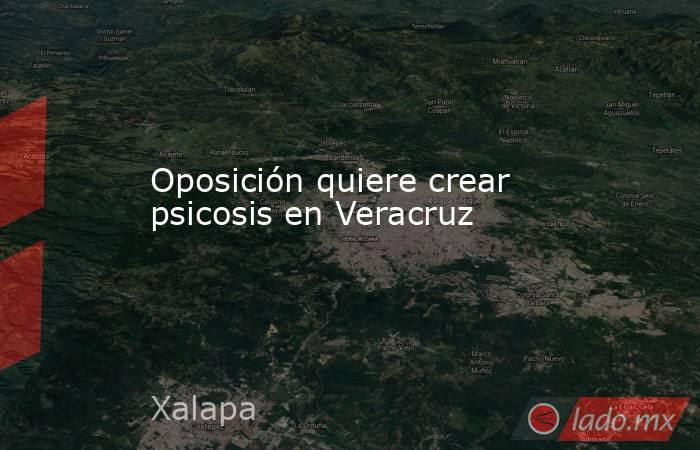 Oposición quiere crear psicosis en Veracruz. Noticias en tiempo real