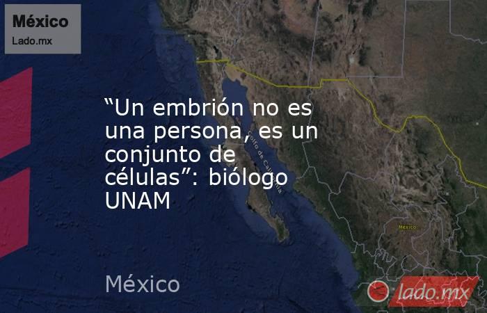 “Un embrión no es una persona, es un conjunto de células”: biólogo UNAM. Noticias en tiempo real