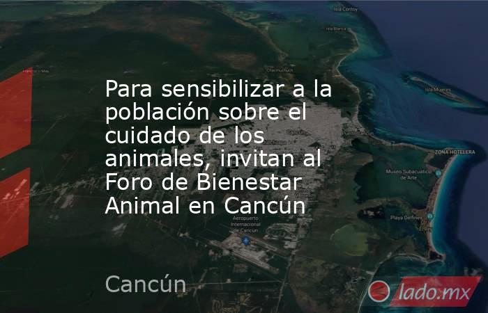 Para sensibilizar a la población sobre el cuidado de los animales, invitan al Foro de Bienestar Animal en Cancún. Noticias en tiempo real