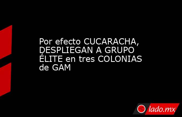 Por efecto CUCARACHA, DESPLIEGAN A GRUPO ÉLITE en tres COLONIAS de GAM. Noticias en tiempo real