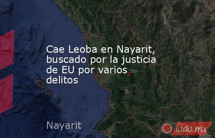 Cae Leoba en Nayarit, buscado por la justicia de EU por varios delitos. Noticias en tiempo real