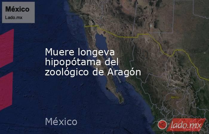 Muere longeva hipopótama del zoológico de Aragón. Noticias en tiempo real