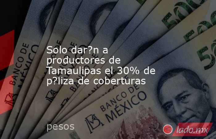 Solo dar?n a productores de Tamaulipas el 30% de p?liza de coberturas. Noticias en tiempo real