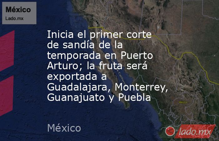 Inicia el primer corte de sandía de la temporada en Puerto Arturo; la fruta será exportada a Guadalajara, Monterrey, Guanajuato y Puebla. Noticias en tiempo real