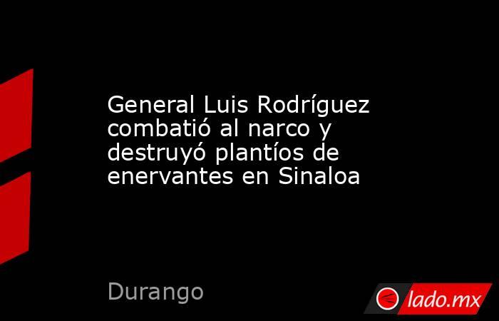 General Luis Rodríguez combatió al narco y destruyó plantíos de enervantes en Sinaloa. Noticias en tiempo real