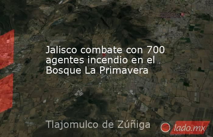 Jalisco combate con 700 agentes incendio en el Bosque La Primavera. Noticias en tiempo real