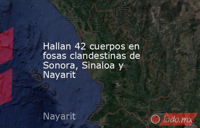Hallan 42 cuerpos en fosas clandestinas de Sonora, Sinaloa y Nayarit. Noticias en tiempo real
