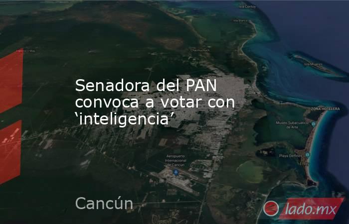 Senadora del PAN convoca a votar con ‘inteligencia’. Noticias en tiempo real