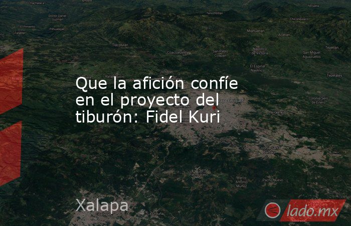 Que la afición confíe en el proyecto del tiburón: Fidel Kuri. Noticias en tiempo real