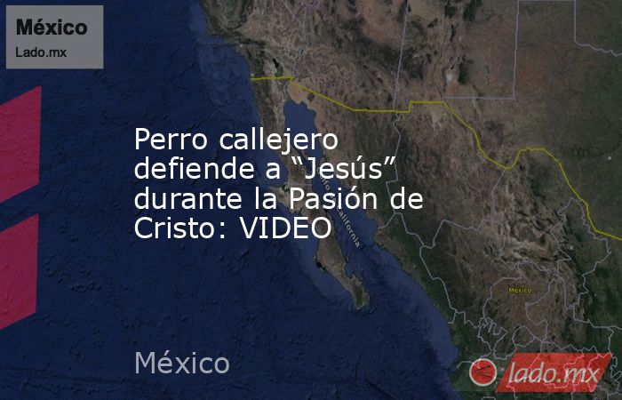 Perro callejero defiende a “Jesús” durante la Pasión de Cristo: VIDEO. Noticias en tiempo real