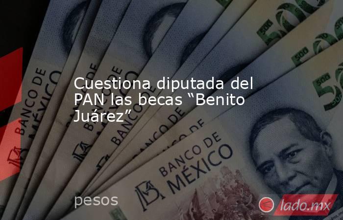 Cuestiona diputada del PAN las becas “Benito Juárez”. Noticias en tiempo real