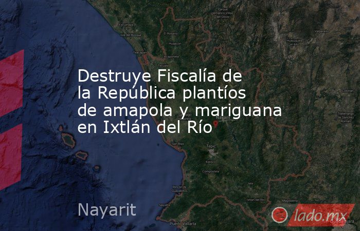 Destruye Fiscalía de la República plantíos de amapola y mariguana en Ixtlán del Río. Noticias en tiempo real