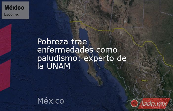 Pobreza trae enfermedades como paludismo: experto de la UNAM. Noticias en tiempo real