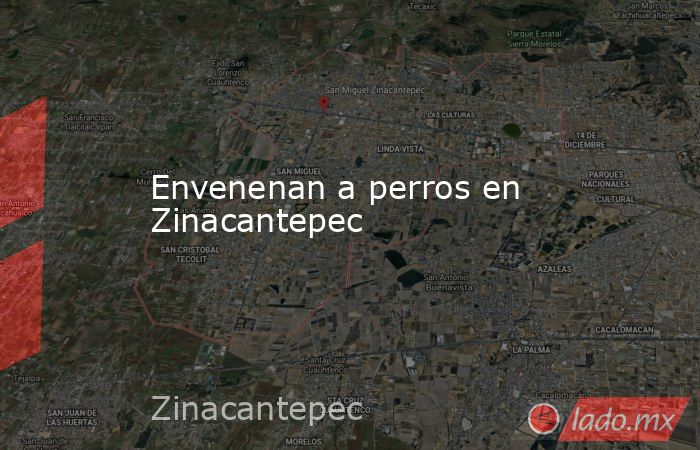 Envenenan a perros en Zinacantepec. Noticias en tiempo real