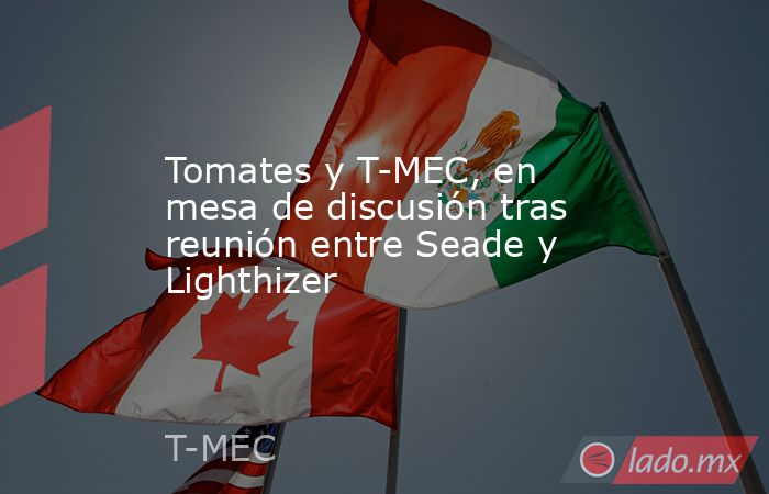 Tomates y T-MEC, en mesa de discusión tras reunión entre Seade y Lighthizer. Noticias en tiempo real