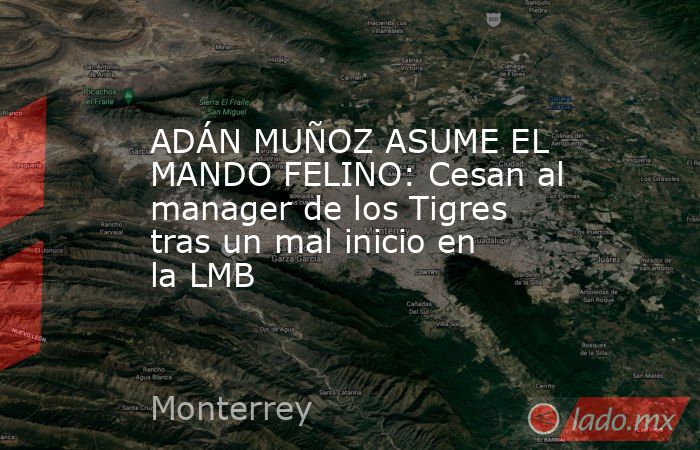 ADÁN MUÑOZ ASUME EL MANDO FELINO: Cesan al manager de los Tigres tras un mal inicio en la LMB. Noticias en tiempo real