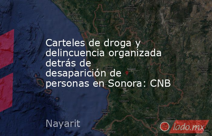 Carteles de droga y delincuencia organizada detrás de desaparición de personas en Sonora: CNB. Noticias en tiempo real