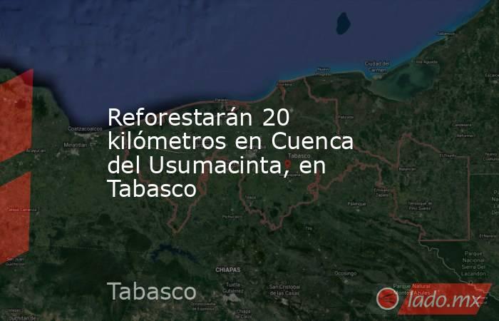 Reforestarán 20 kilómetros en Cuenca del Usumacinta, en Tabasco. Noticias en tiempo real