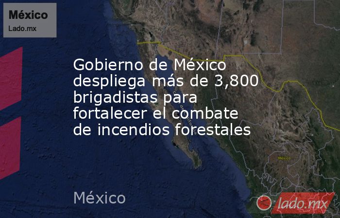 Gobierno de México despliega más de 3,800 brigadistas para fortalecer el combate de incendios forestales. Noticias en tiempo real
