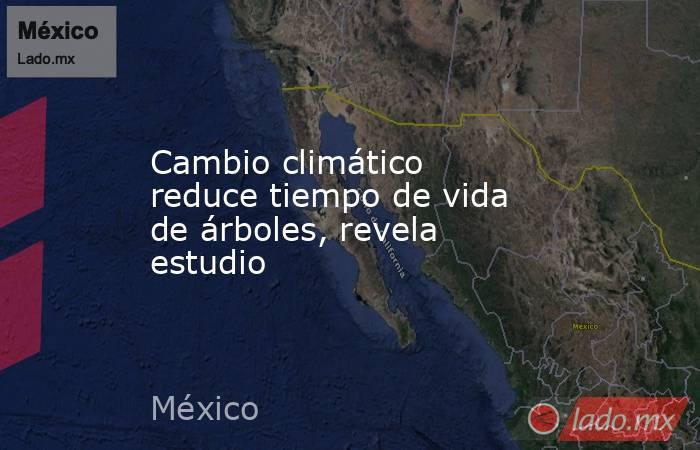 Cambio climático reduce tiempo de vida de árboles, revela estudio. Noticias en tiempo real