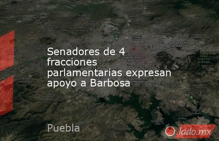 Senadores de 4 fracciones parlamentarias expresan apoyo a Barbosa. Noticias en tiempo real