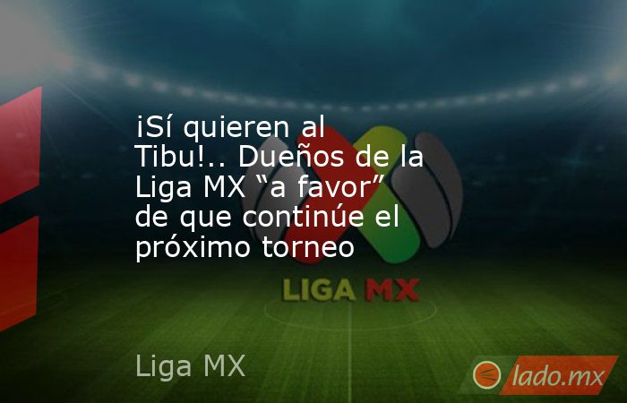 ¡Sí quieren al Tibu!.. Dueños de la Liga MX “a favor” de que continúe el próximo torneo. Noticias en tiempo real