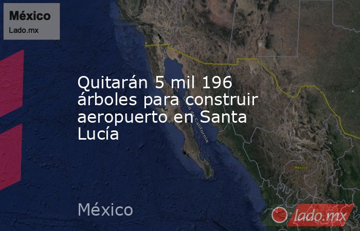 Quitarán 5 mil 196 árboles para construir aeropuerto en Santa Lucía. Noticias en tiempo real