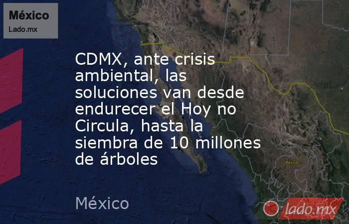 CDMX, ante crisis ambiental, las soluciones van desde endurecer el Hoy no Circula, hasta la siembra de 10 millones de árboles. Noticias en tiempo real