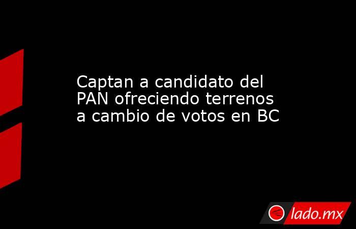 Captan a candidato del PAN ofreciendo terrenos a cambio de votos en BC. Noticias en tiempo real