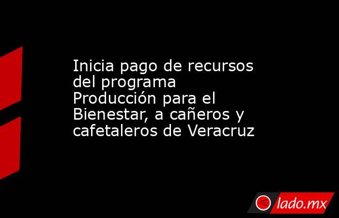 Inicia pago de recursos del programa Producción para el Bienestar, a cañeros y cafetaleros de Veracruz. Noticias en tiempo real