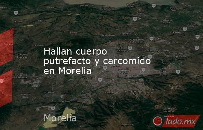 Hallan cuerpo putrefacto y carcomido en Morelia. Noticias en tiempo real