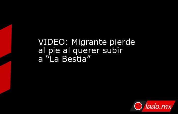 VIDEO: Migrante pierde al pie al querer subir a “La Bestia”. Noticias en tiempo real