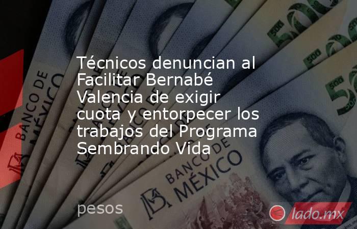 Técnicos denuncian al Facilitar Bernabé Valencia de exigir cuota y entorpecer los trabajos del Programa Sembrando Vida. Noticias en tiempo real