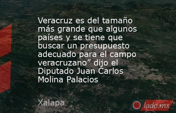 Veracruz es del tamaño más grande que algunos países y se tiene que buscar un presupuesto adecuado para el campo veracruzano” dijo el Diputado Juan Carlos Molina Palacios. Noticias en tiempo real