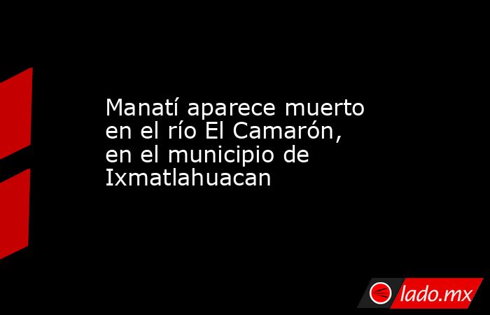 Manatí aparece muerto en el río El Camarón, en el municipio de Ixmatlahuacan. Noticias en tiempo real