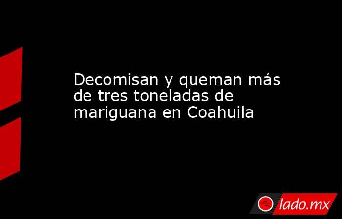 Decomisan y queman más de tres toneladas de mariguana en Coahuila. Noticias en tiempo real