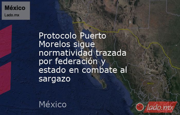 Protocolo Puerto Morelos sigue normatividad trazada por federación y estado en combate al sargazo. Noticias en tiempo real