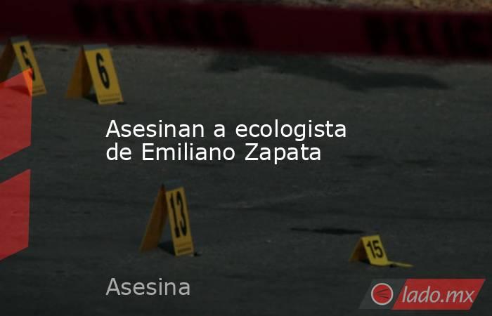 Asesinan a ecologista de Emiliano Zapata. Noticias en tiempo real