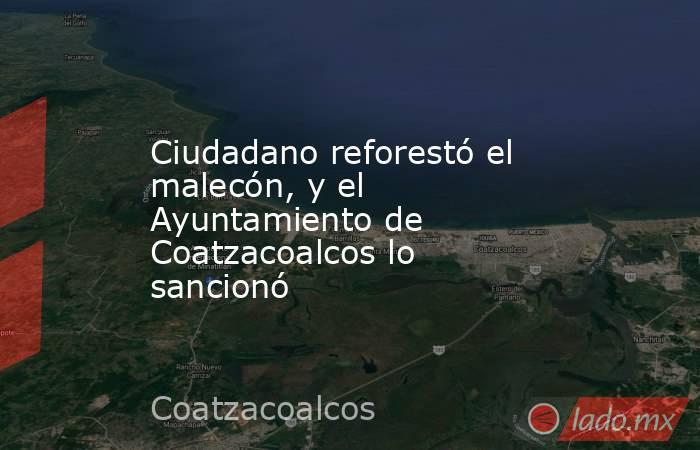 Ciudadano reforestó el malecón, y el Ayuntamiento de Coatzacoalcos lo sancionó. Noticias en tiempo real