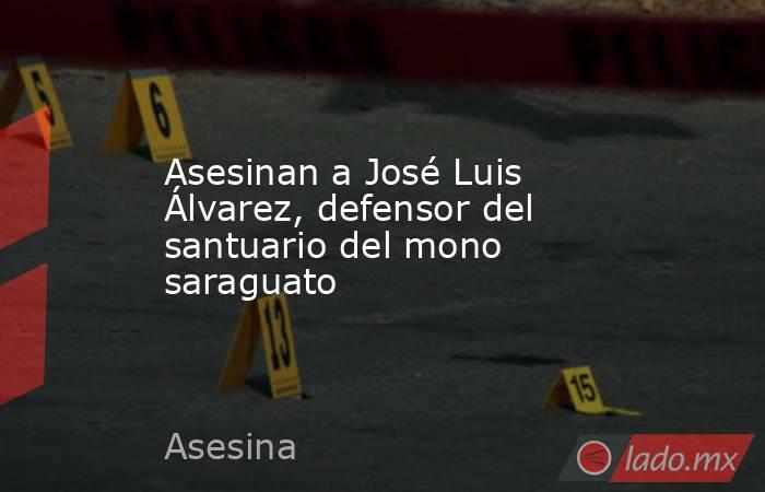 Asesinan a José Luis Álvarez, defensor del santuario del mono saraguato . Noticias en tiempo real