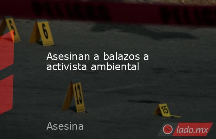 Asesinan a balazos a activista ambiental
. Noticias en tiempo real