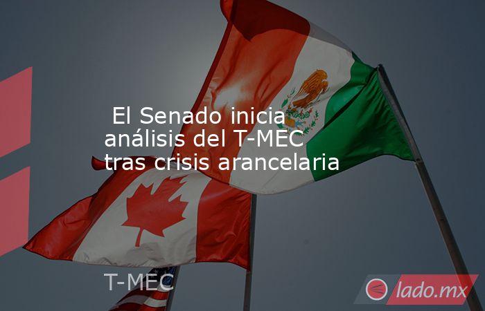  El Senado inicia análisis del T-MEC tras crisis arancelaria. Noticias en tiempo real